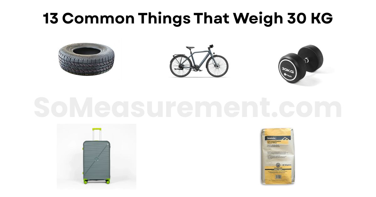 13 Common Things That Weigh 30 KG