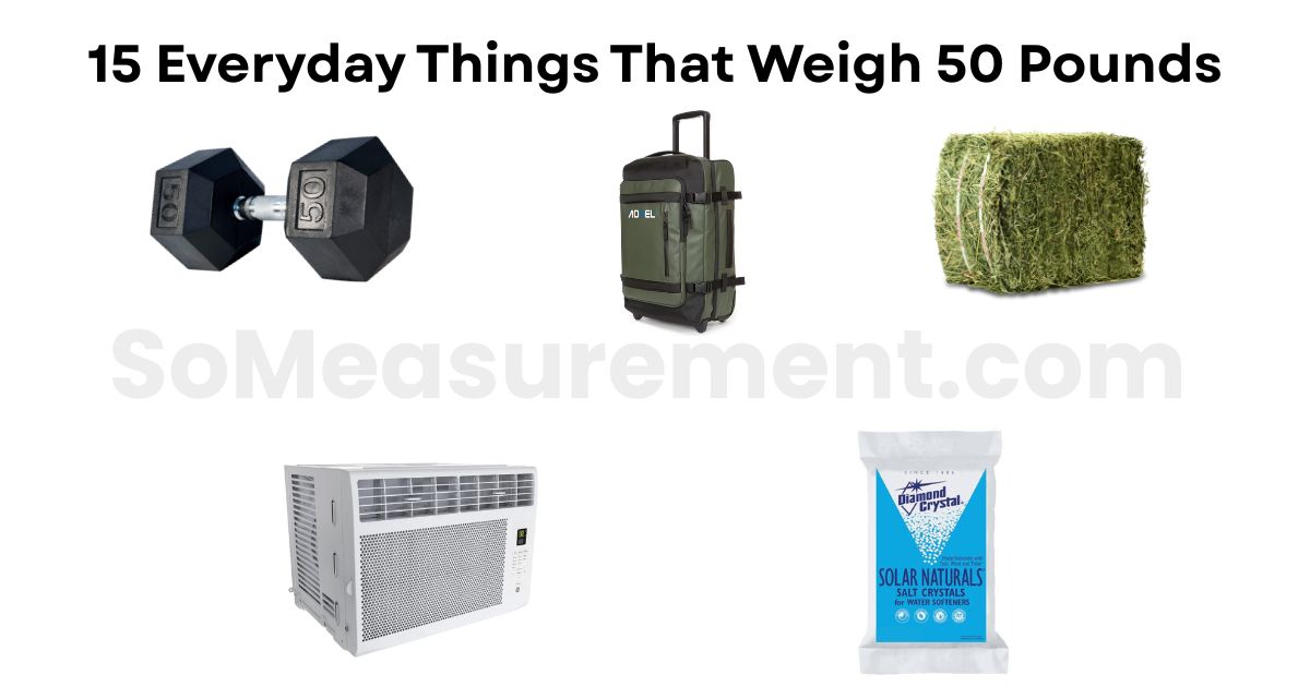 15 Everyday Things That Weigh 50 Pounds