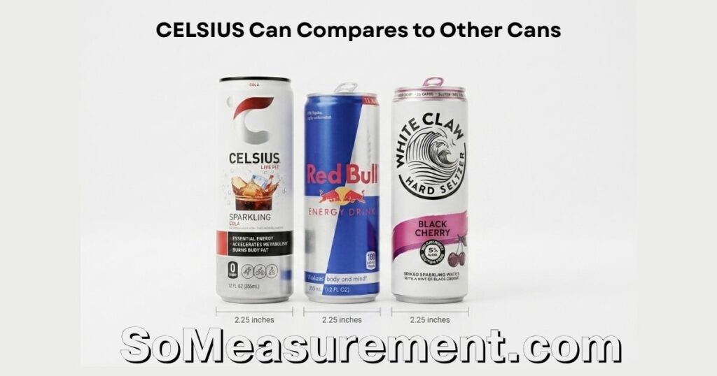 CELSIUS Can Dimensions: CELSIUS Can Compares to Other Cans