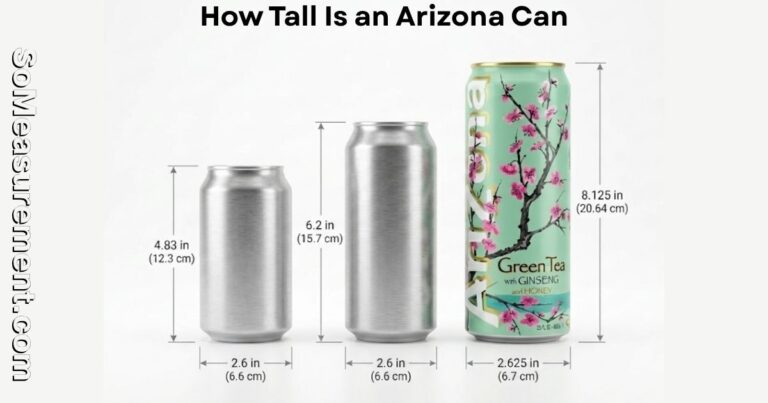 How Tall Is an Arizona Can? Exact Size, Height & Fit Guide 2026