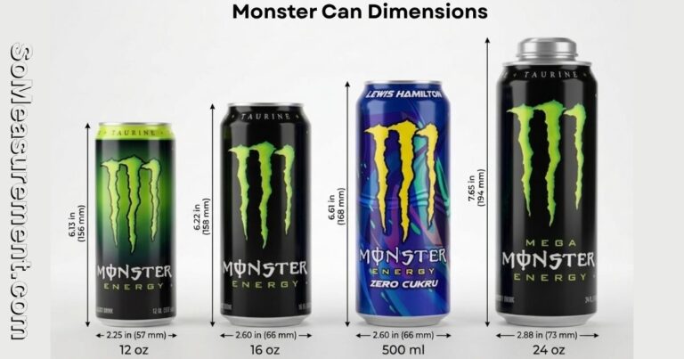 Monster Can Dimensions: Size, Height & Diameter Guide 2026