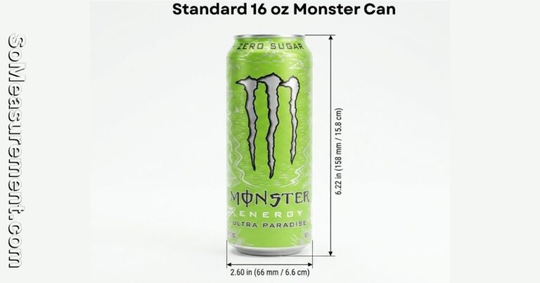 Monster Can Dimensions: Size, Height & Diameter Guide 2026