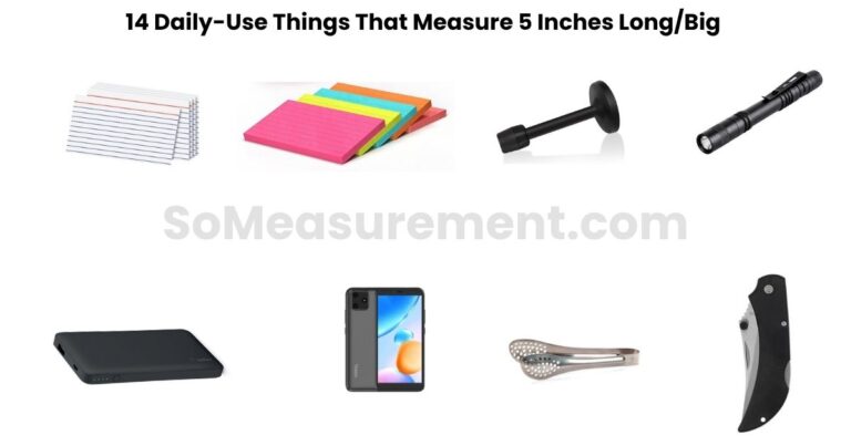 14 Daily-Use Things That Measure 5 Inches Long/Big