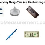 14 Everyday Things That Are 6 Inches Long or big