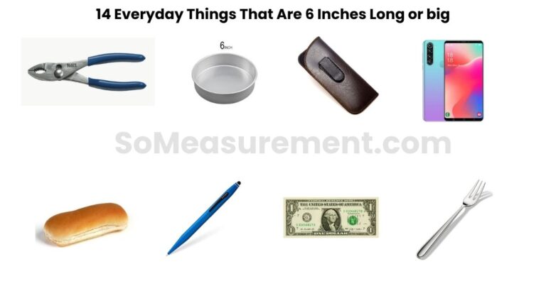 14 Everyday Things That Are 6 Inches Long or big