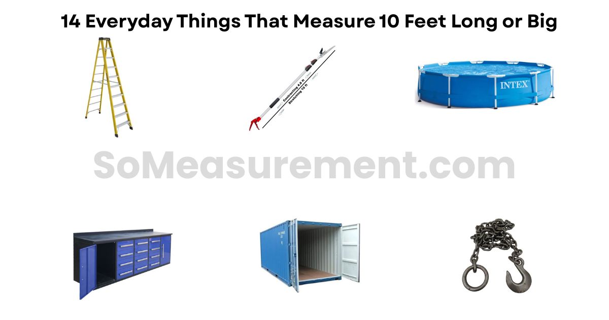 14 Everyday Things That Measure 10 Feet Long or Big