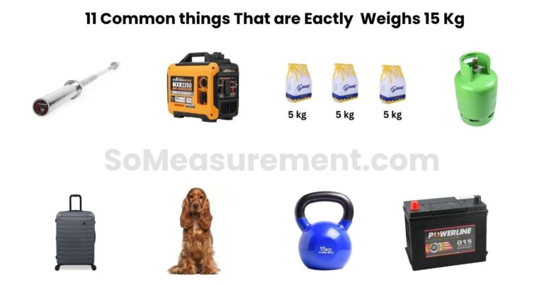 How much is 15 kg? 11 Everyday Objects That Show You Exactly