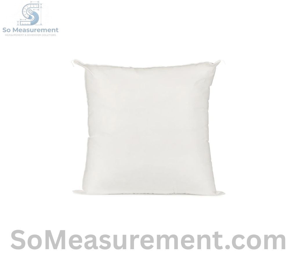 Square Throw Pillow That Measure 16 Inches 