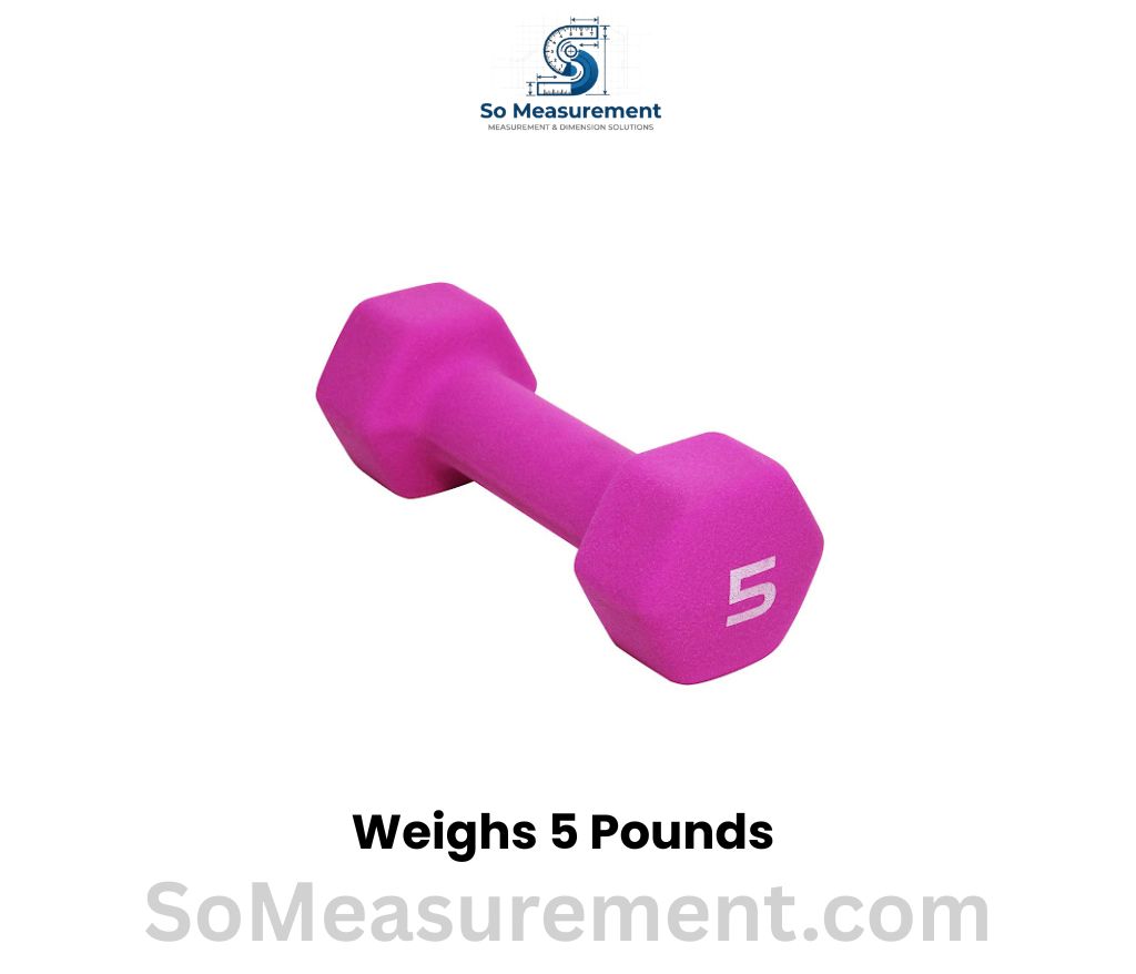 5-Pound Dumbbell Weighs 5 pounds