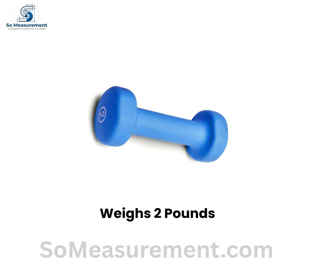 A 2-Pound Travel Dumbbell Weighs 2 Pounds