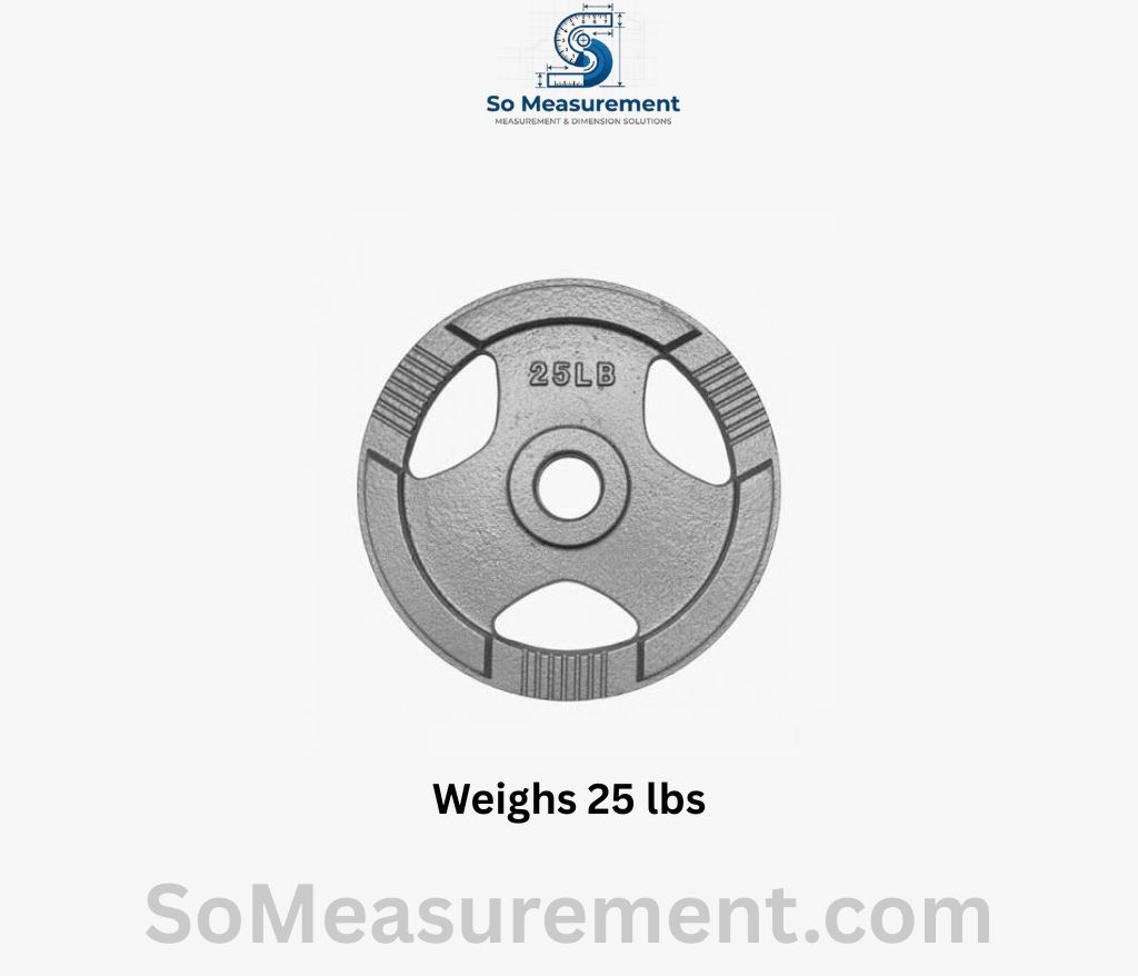 A 25 lb Cast Iron Olympic Weight Plate that Weighs 25 lbs