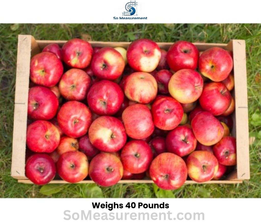 A Bushel of Fresh Apples that Weighs 40 Pounds