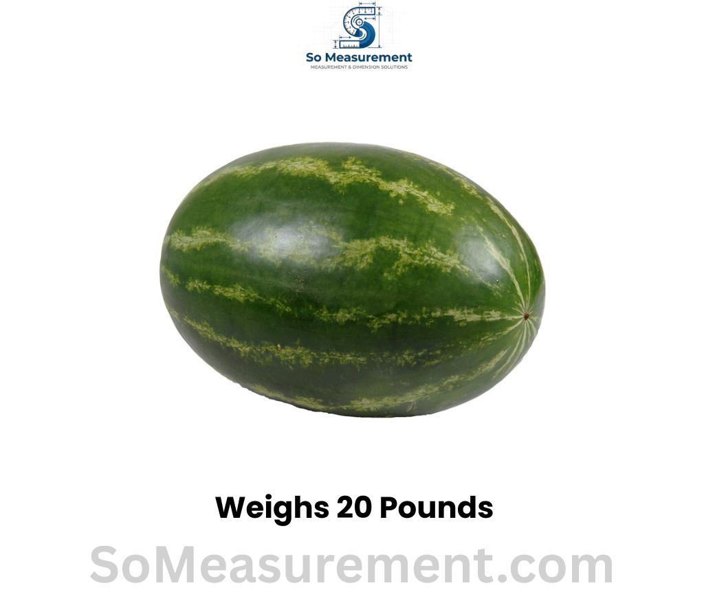A Large Whole Watermelon Weighs 20 Pounds