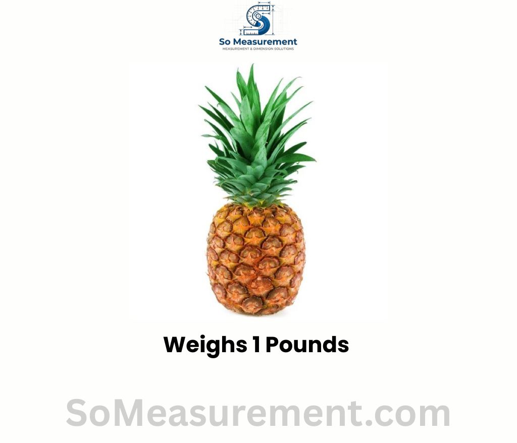A Small Pineapple that weighs 1 Pounds
