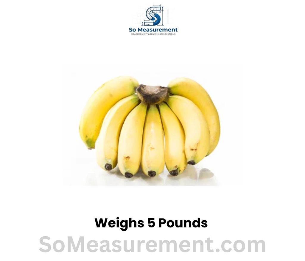 Five Bunches of Bananas Weighs 5 pounds