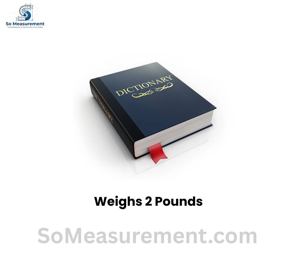 Thick Paperback Dictionary or Textbook Weighs 2 Pounds