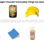 What Weighs 1 Pounds? 14 Everyday Things You Already Know