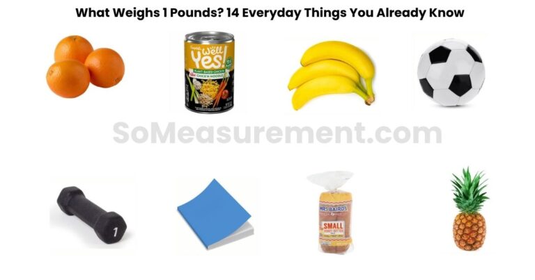 What Weighs 1 Pounds? 14 Everyday Things You Already Know