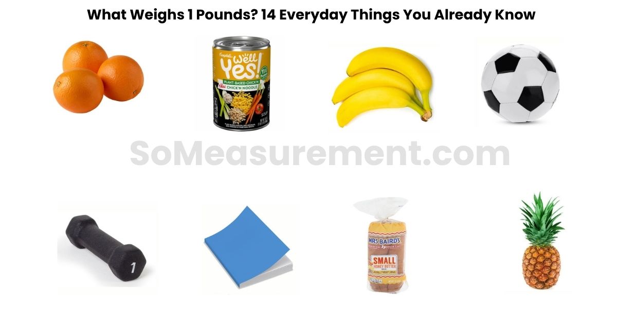 What Weighs 1 Pounds? 14 Everyday Things You Already Know