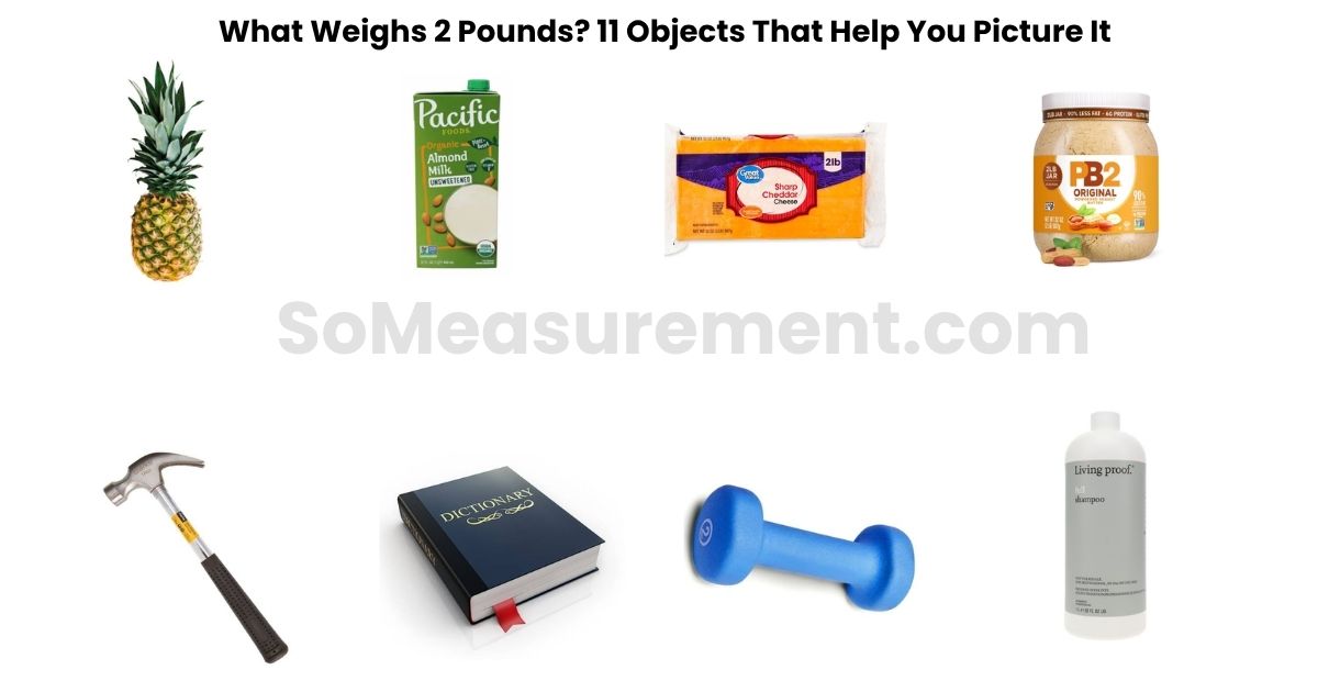 What Weighs 2 Pounds? 11 Objects That Help You Picture It