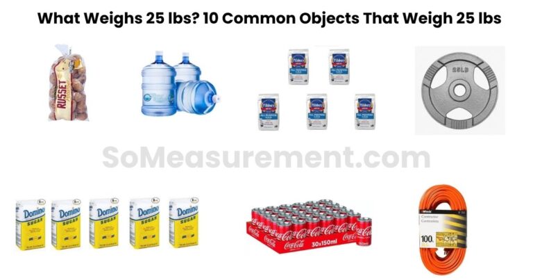 What Weighs 25 lbs? 10 Common Objects That Weigh 25 lbs