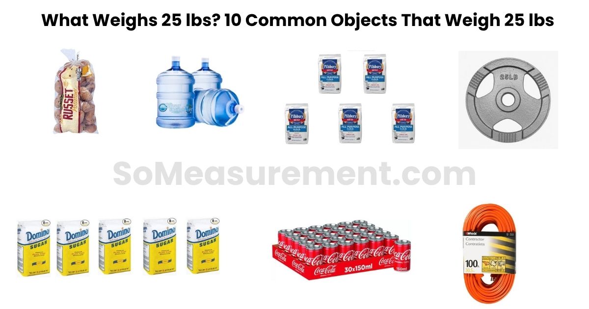 What Weighs 25 lbs? 10 Common Objects That Weigh 25 lbs
