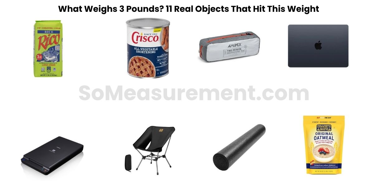 What Weighs 3 Pounds? 11 Real Objects That Hit This Weight