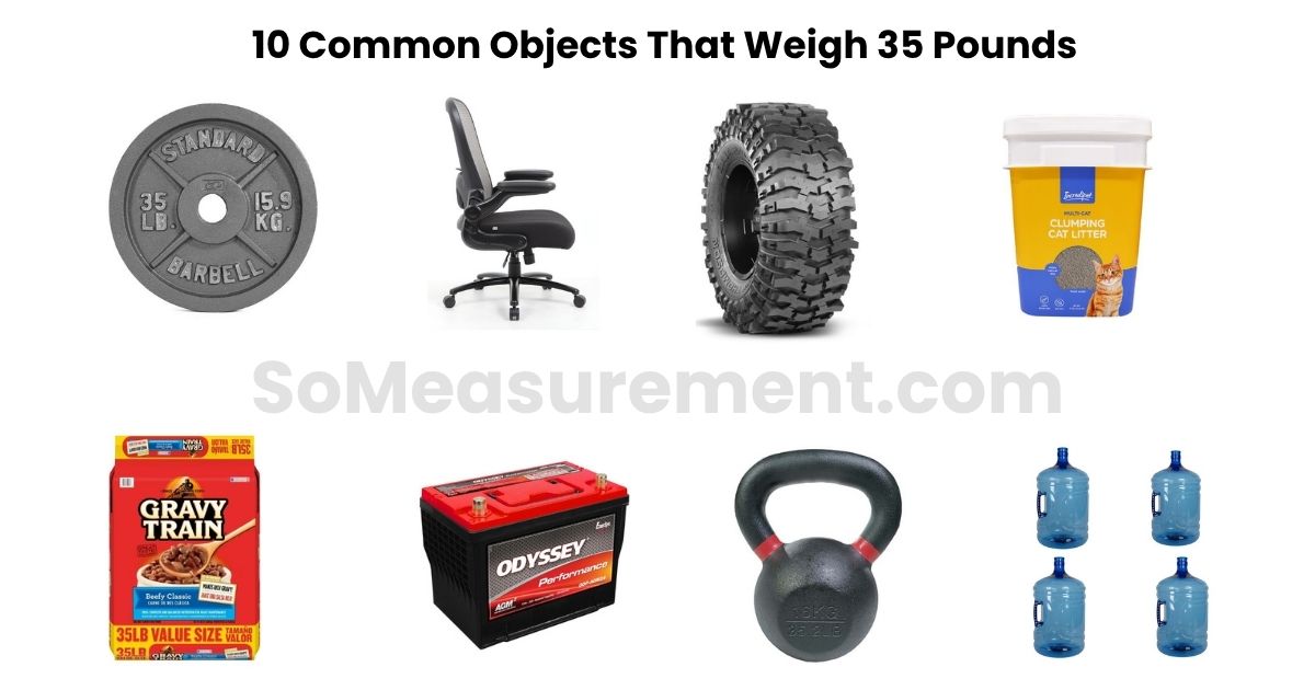 What Weighs 35 Pounds? 10 Common Objects That Weigh 35 Pounds