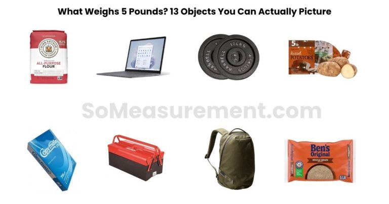 What Weighs 5 Pounds? 13 Objects You Can Actually Picture