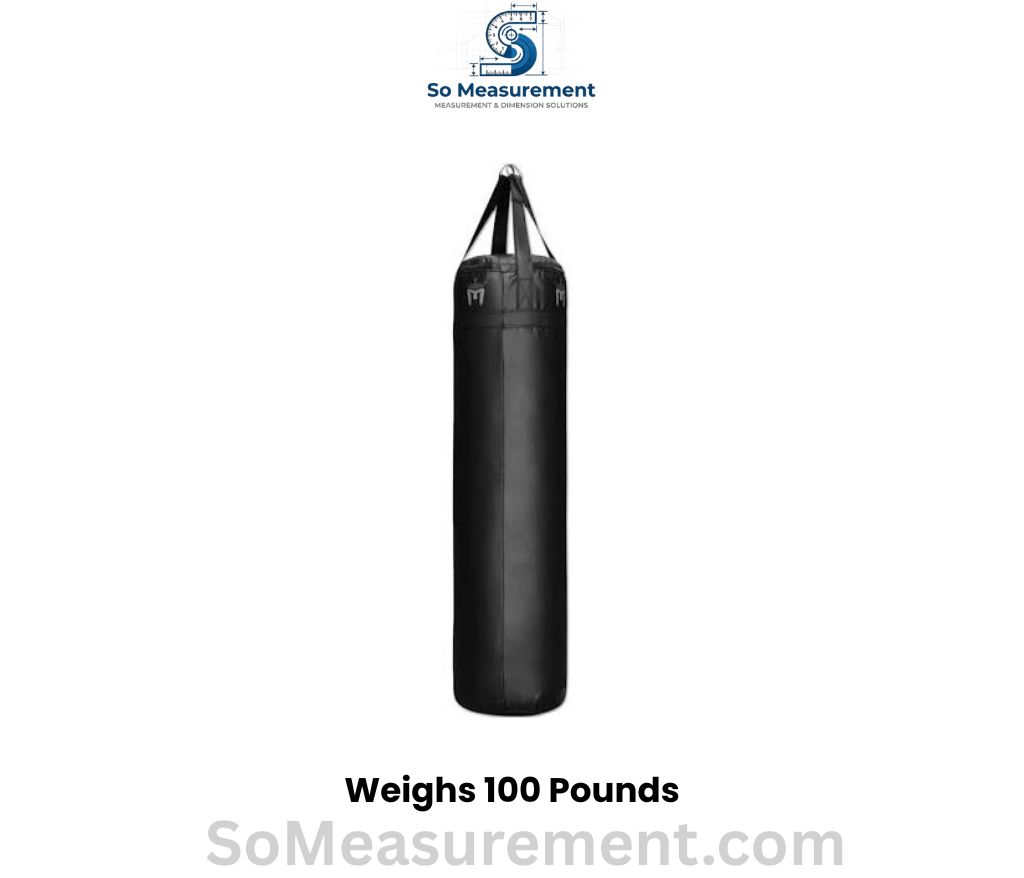 A 100-lb Heavy Punching Bag that weighs 100 Pounds