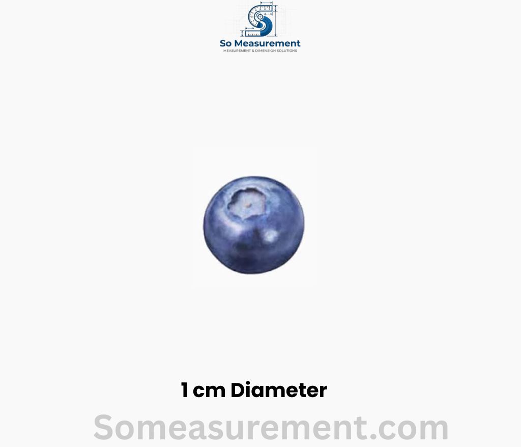 Blueberry (Diameter) that are 1 cm Long or Big