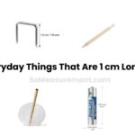 How Big Is 1 cm? Everyday Things that are 1 cm Long or Big