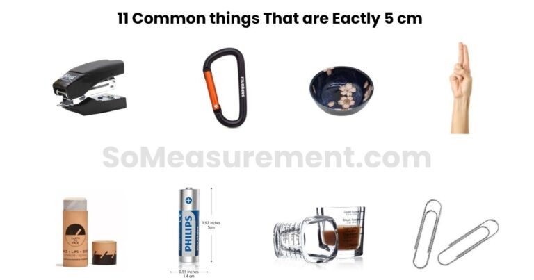 How Big Is 5 cm? 11 Everyday Things That Are About 5 Cm Long