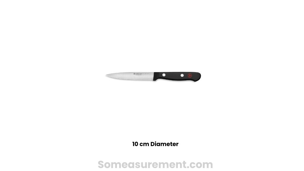 Kitchen Paring Knife Blade That Are 10 cm length