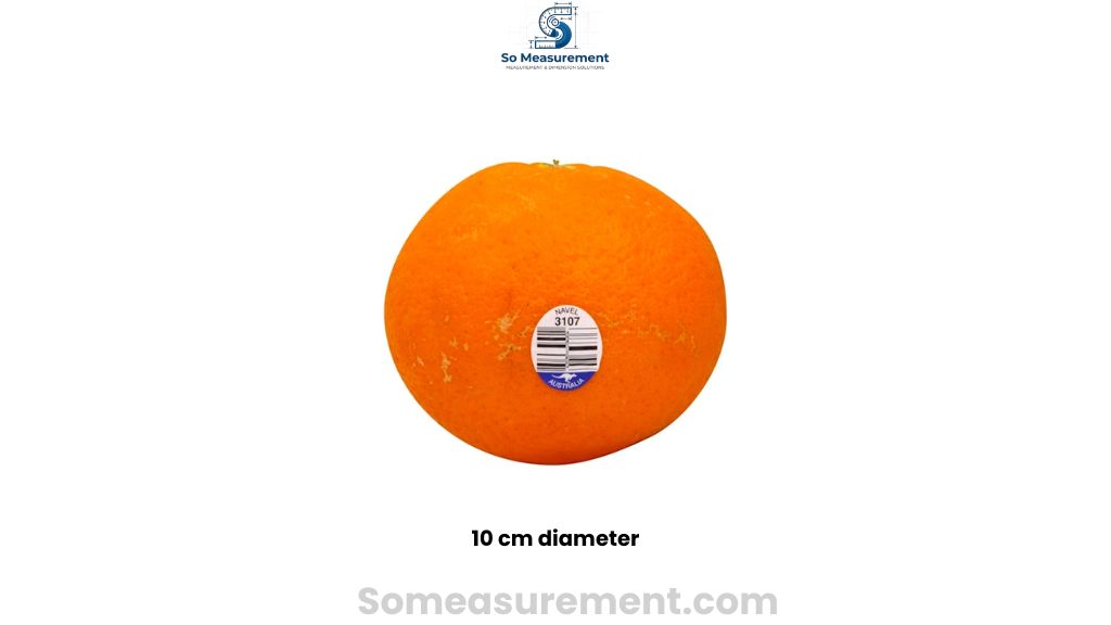 navel orange That Are 10 cm diameter