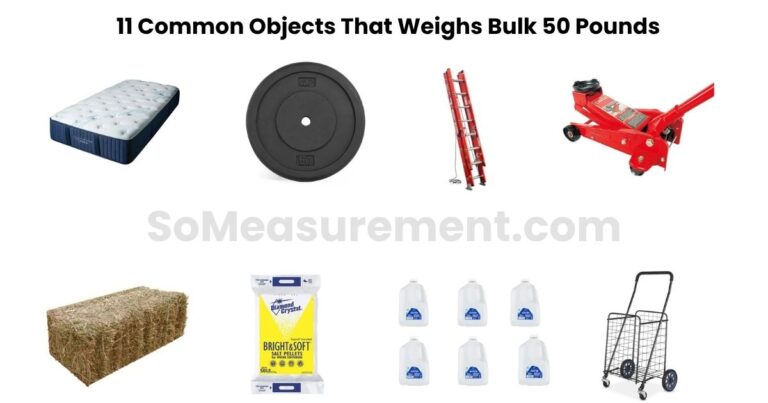 What Weighs 50 Pounds? 11 Things That Actually Hit This Weight