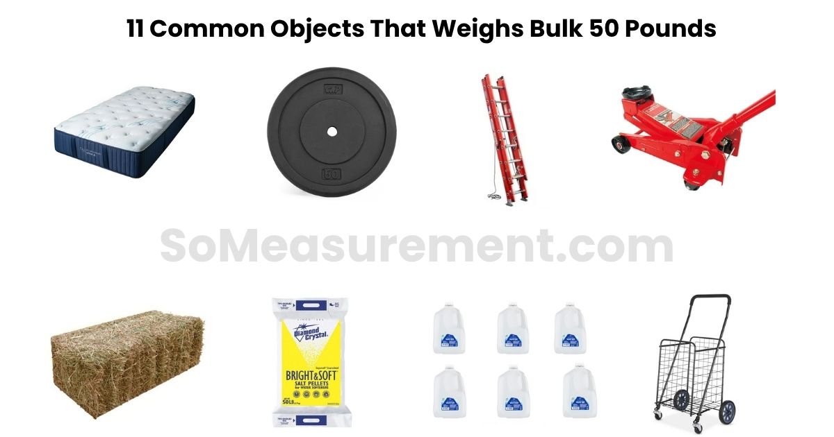 What Weighs 50 Pounds? 11 Things That Actually Hit This Weight