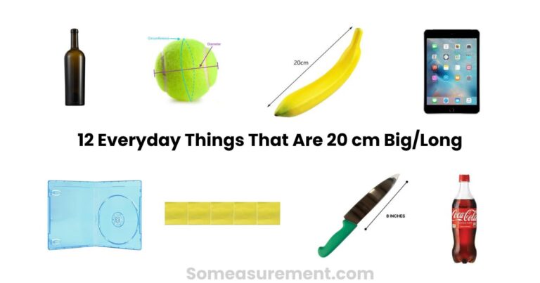 How Big Is 20 cm? See It, Feel It, Use It Without a Ruler
